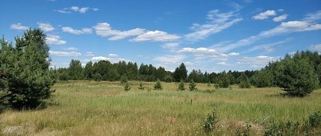 Последствия отказа от теста на алкогольную зависимость