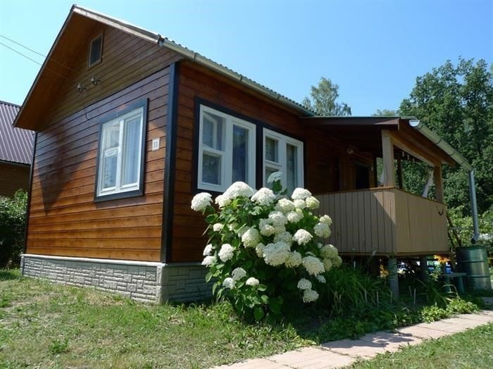 Как работают алкотестеры: Точность и ограничения