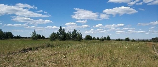 Роль полевых тестов на трезвость в оценке алкогольного опьянения