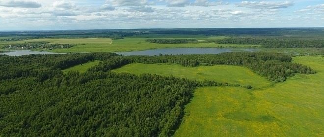 Виды тестов на алкогольную зависимость, используемых правоохранительными органами