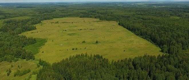 Будущее тестирования на алкогольную зависимость: Новые технологии и тенденции