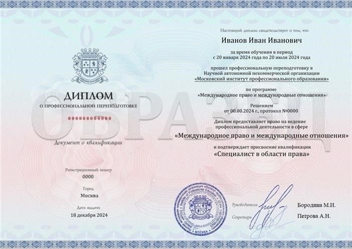 Понимание практических возможностей стажировки в области международного права