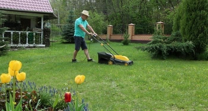 Практические советы по расчету неиспользованных дней отпуска при увольнении