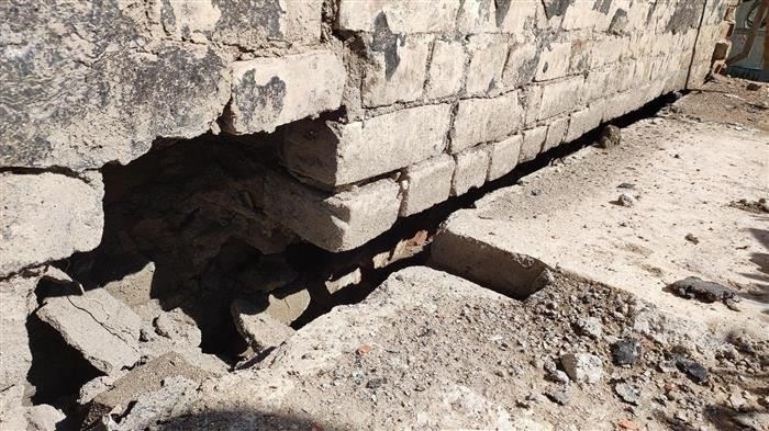 Роль в судебной экспертизе