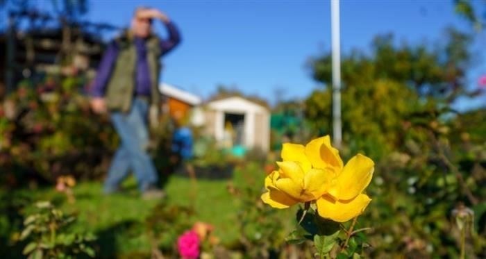 Что делать, если вы хотите расторгнуть кредитный договор?