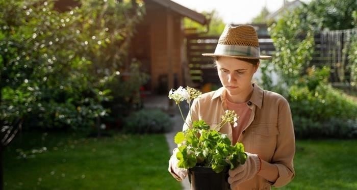 Шаги по отказу от кредита до получения средств